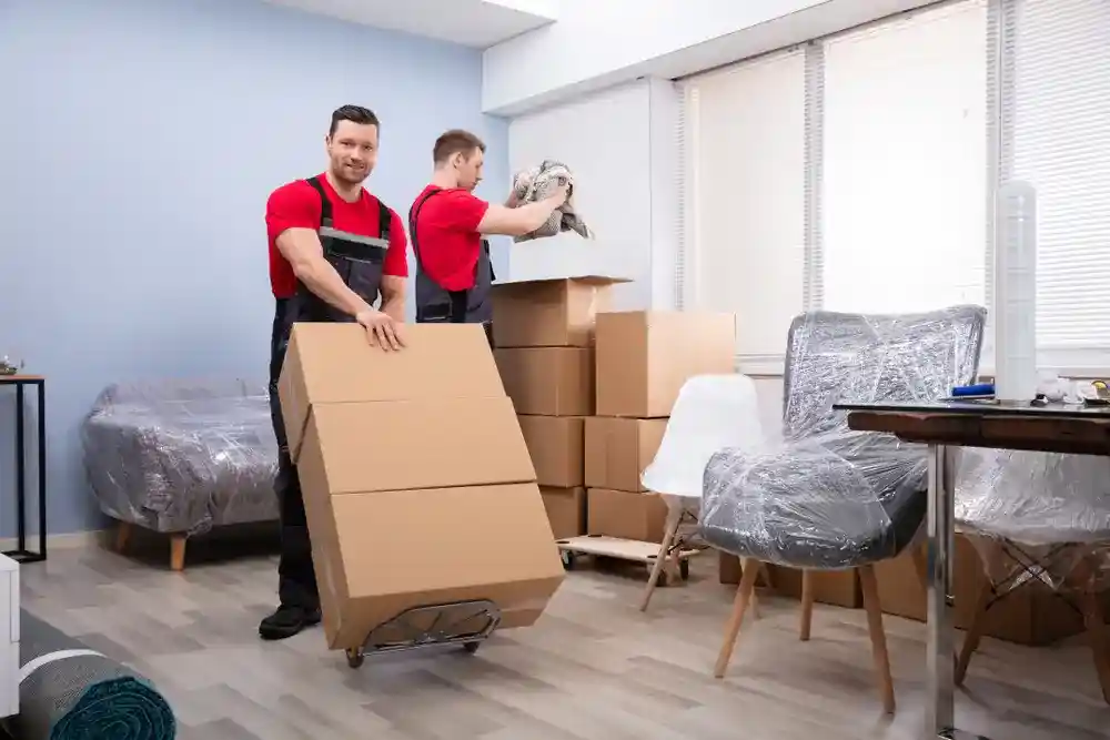 Our deerfield beach fl movers crew efficiently packing and transporting belongings.